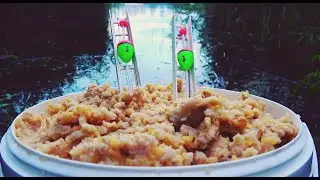Прикормил Большим ВЕДРОМ КАШИ! Будет ли Клевать? Я был в приятном шоке!