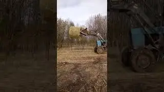 Сено в стог