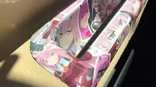 Zero Two sticker bomb.