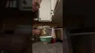 Overnight Oats