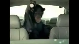 Top 5 funniest commercial ads sexy banned смешная реклама