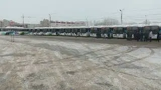Автобусы