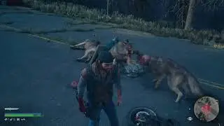 DAYS GONE Ambushers, Freakers and Wolves Fight to the Death