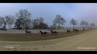 C1 PRIX ETONNANT: Courses de trot en vidéo – Replay