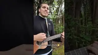 Endless Bummer - Weezer (Baritone Ukulele Cover)