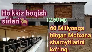Ихчам курилган молхона  Ixcham qurilgan molxona Ho'kkiz boqish sirlari