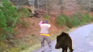 BİRBİRİNDEN GÜZEL DOMUZ AVLARI DERLEMESİ / CACCIA AL CINGHIALE/CHASSE AU SANGLIER/WILD BOAR HUNT