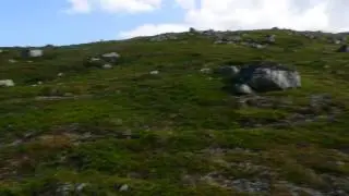 гремиха святой нос устье р.бухтовка 6.8.15
