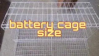 #cage #layerfarming #batterycage#cagesize #philippines #shorts