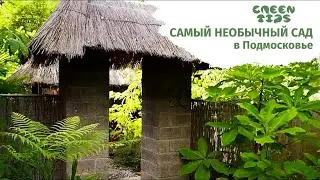 Самый необычный сад в Подмосковье. Обзор сада