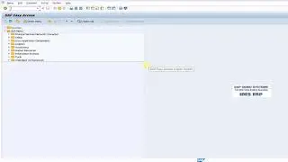 How to add or change org values in SAP Roles using PFCG | SAP Security