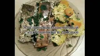Толстолобик в духовке. Толстолобик с картошкой в духовке.