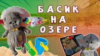 КОТ БАСИК НА ОЗЕРЕ / БАСИК ЛЕТОМ / БАСИК КУПАЕТСЯ В ОЗЕРЕ #басик #котбасик