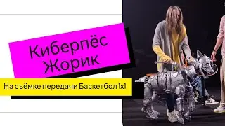 Кибер пес Жорик и баскетбол, да что вообще может быть общего?