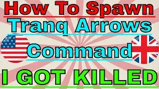How to spawn in Tranq Arrows in ark gfi command