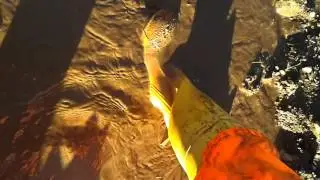 Wellie play