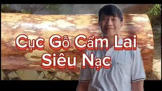 Cục gỗ Cẩm lai l Cẩm chỉ l Hàng Nục Nạc | Hàng Đẹp