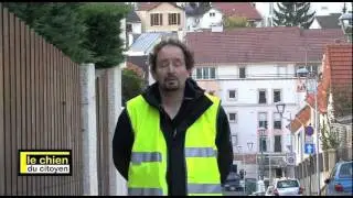 Comment apprendre la marche en laisse ? (partie 1)