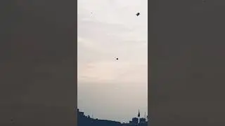 15 th August #trending #reels #youtuber #nikku #youtubeindia #independenceday #kiteflying #kites