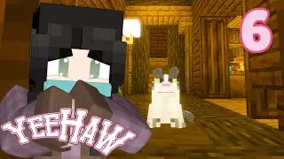 Yeehaw SMP | Episode 6 💎