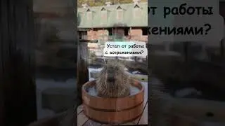 Устал от работы с возражениями  в сетевом? Мы создали систему без собеседований и  возражений #млм