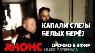 Капали слезы белых берез