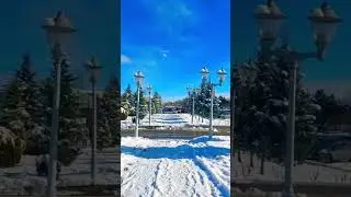 #quba