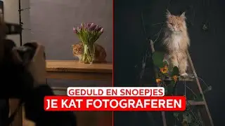 Mirka FOTOGRAFEERT kattenportretten | How It's Made | Zoom.nl | #1