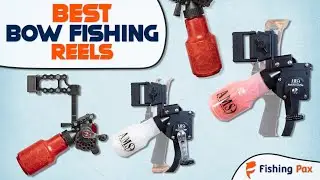 Best Bowfishing Reels (Fast Retrieval Models Reviewed)