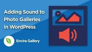 How to Add Custom Audio to WordPress Photo Galleries