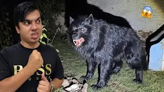 Zoo Mein Ya Kesa Janwar Agea 😱