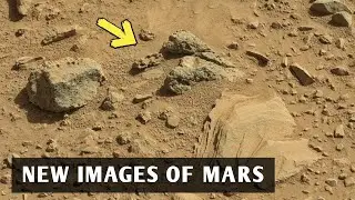 Latest data from mars | China publish new Images of mars