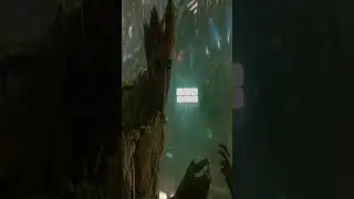 I Am Groot  - Coffin Dance Song COVER#Shorts-