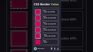 CSS Border Style Explained 🤯 #css #codingstella #animation
