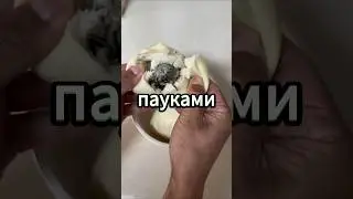 Что ты выберешь? Часть 55 - Пирожки #shorts