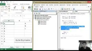 Quitar duplicados en VBA