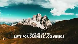 One LUT Pack, Endless Possibilities – DJI D-Log Color Grading