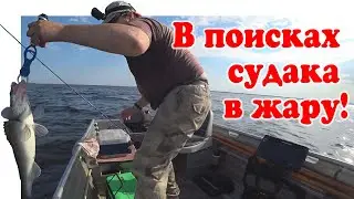 Ловля Судака на Волге ▶ Fishing 2023 | 