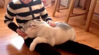 Знакомство :)