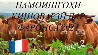 НАМОИШГОҲӢ КИШОВАРЗОНӢ ФАРОНСА 2024 نمایشگاه کشاورزی فرانسه #part2 #tjk #fr #travel #tourist  🇹🇯🇫🇷