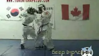 Toronto Hapkido Academy
