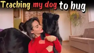 Teaching My Dog ​​To Hug