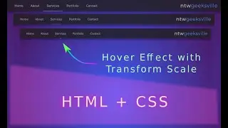 HTML CSS - NavBar Links Hover Effect using Transform