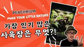 [크레사육장] 가장  많이 팔린게 이거 맞아요?   피치리움에서 가장 선호하는  타입을  가져왔습니다!  영상으로 한 번 만나보세요  시스템 사육장 전문 피치리움입니다!