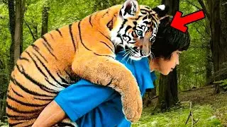 This Dying Tiger Cried For Help, Then This Happened...