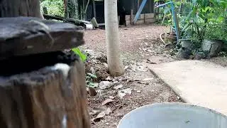 What's this?