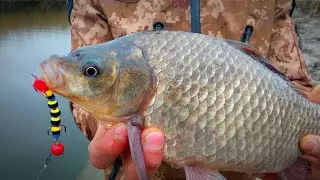 AGAIN, THE Cunning MINI MANDULA CAUGHT CARPS. Fishing with a mandula