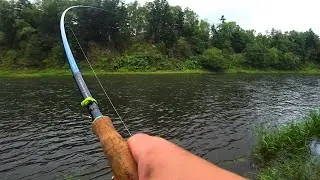 Pink salmon fishing with shrimp \ Pink salmon with float