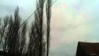 Валят деревья