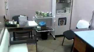 ветеринарный кабинет1.3GP